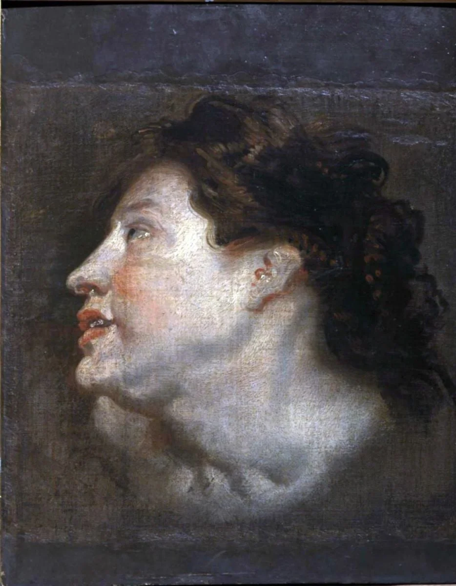 Cap de femeie (studiu), by Anthony van Dyck, unspecified, 1650