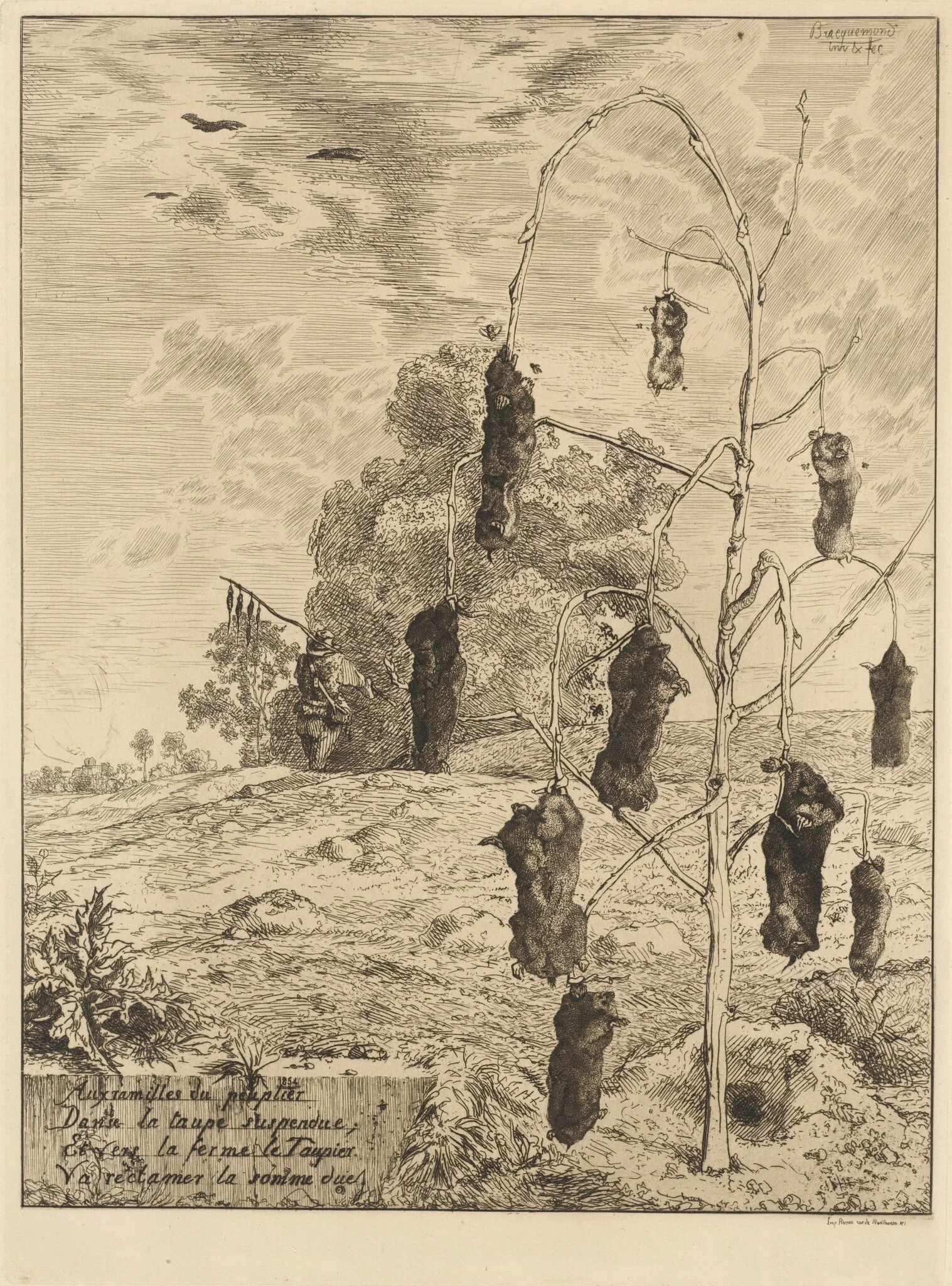 The Moles (Les Taupes), by Félix Bracquemond, ink, 1854