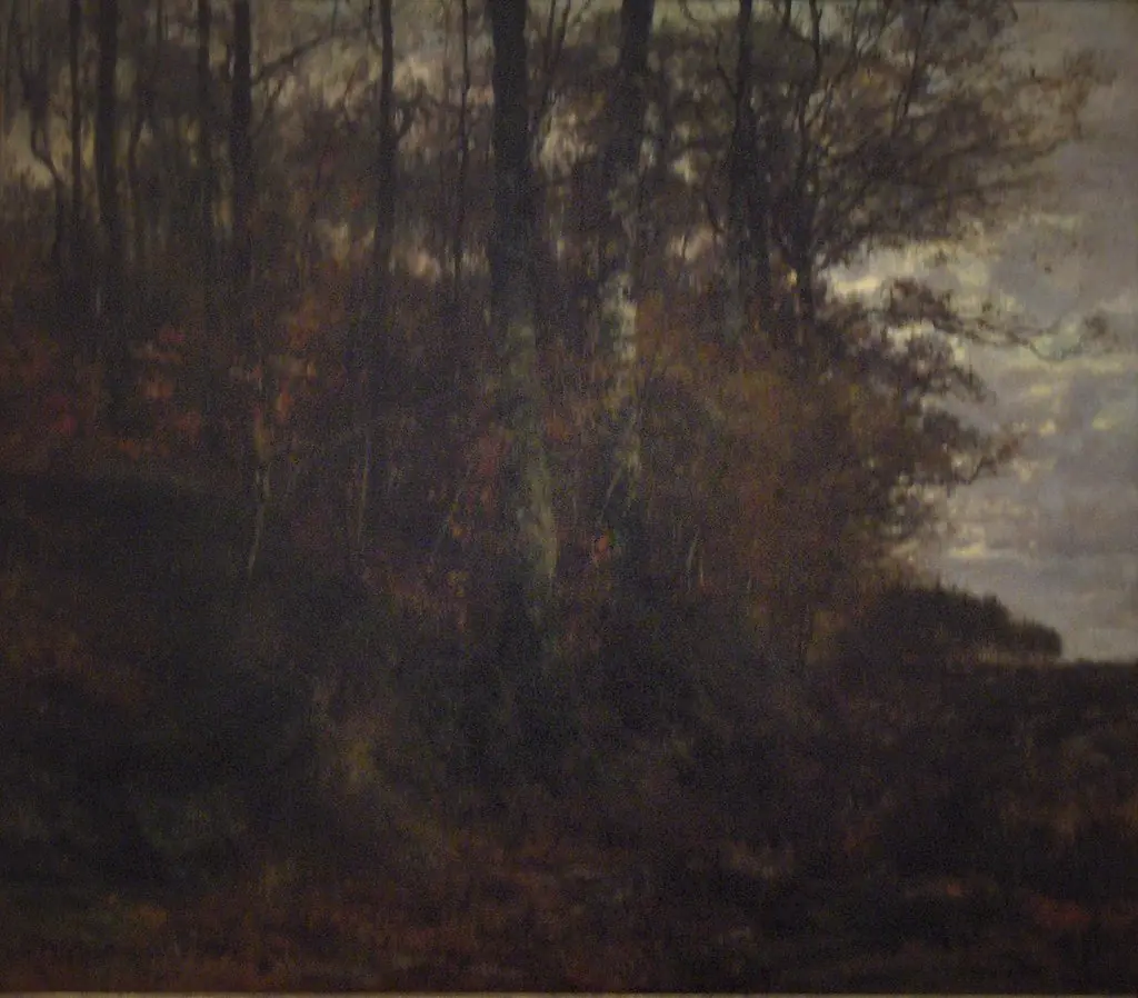 At the side of the forest