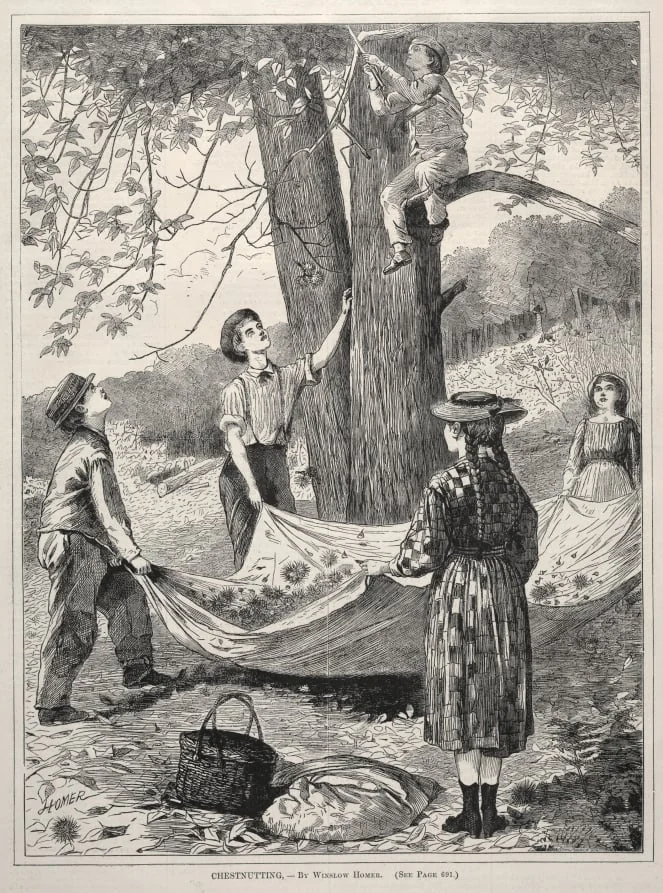 Chestnutting, by Winslow Homer, 1870