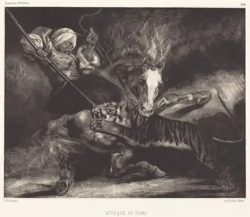 Attaque du tigre