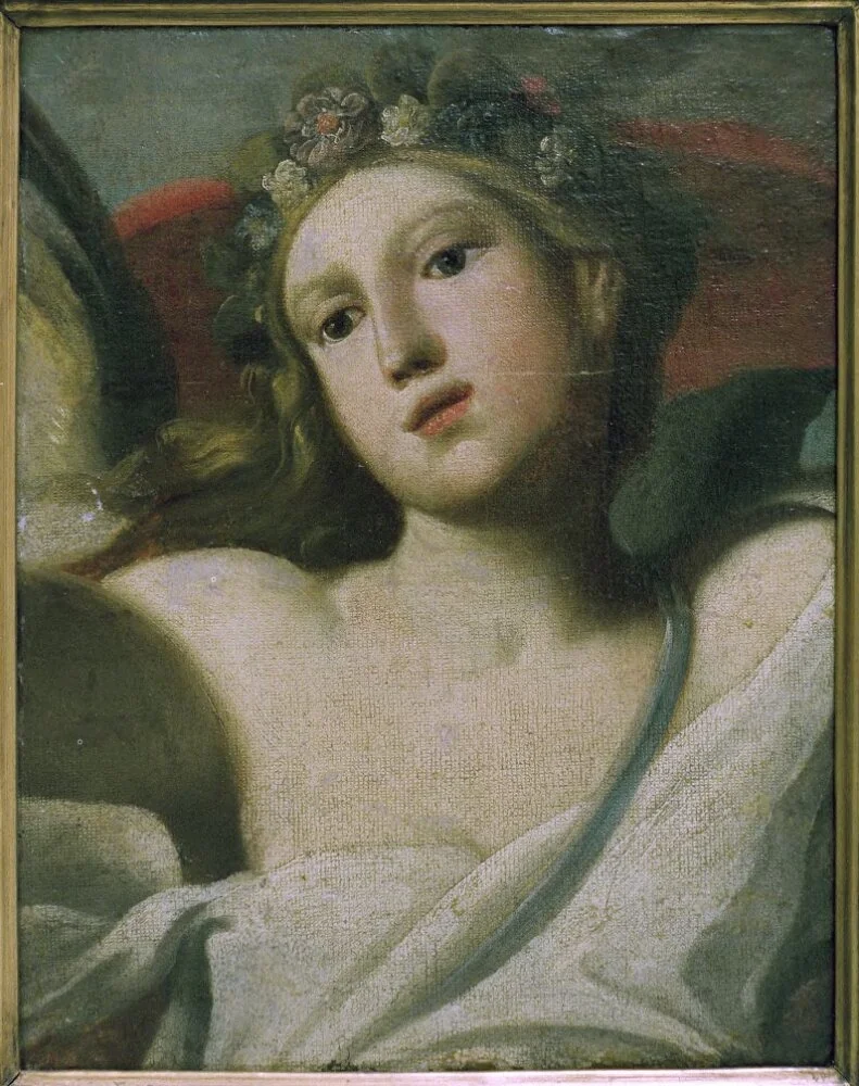 Flora