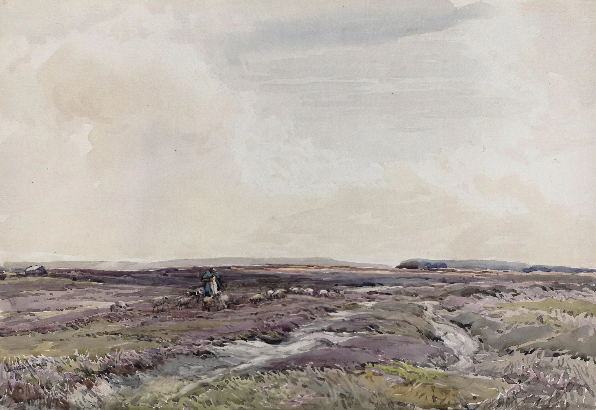 Sheep on the Moor