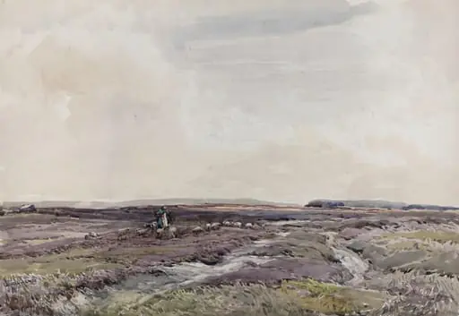 Sheep on the Moor