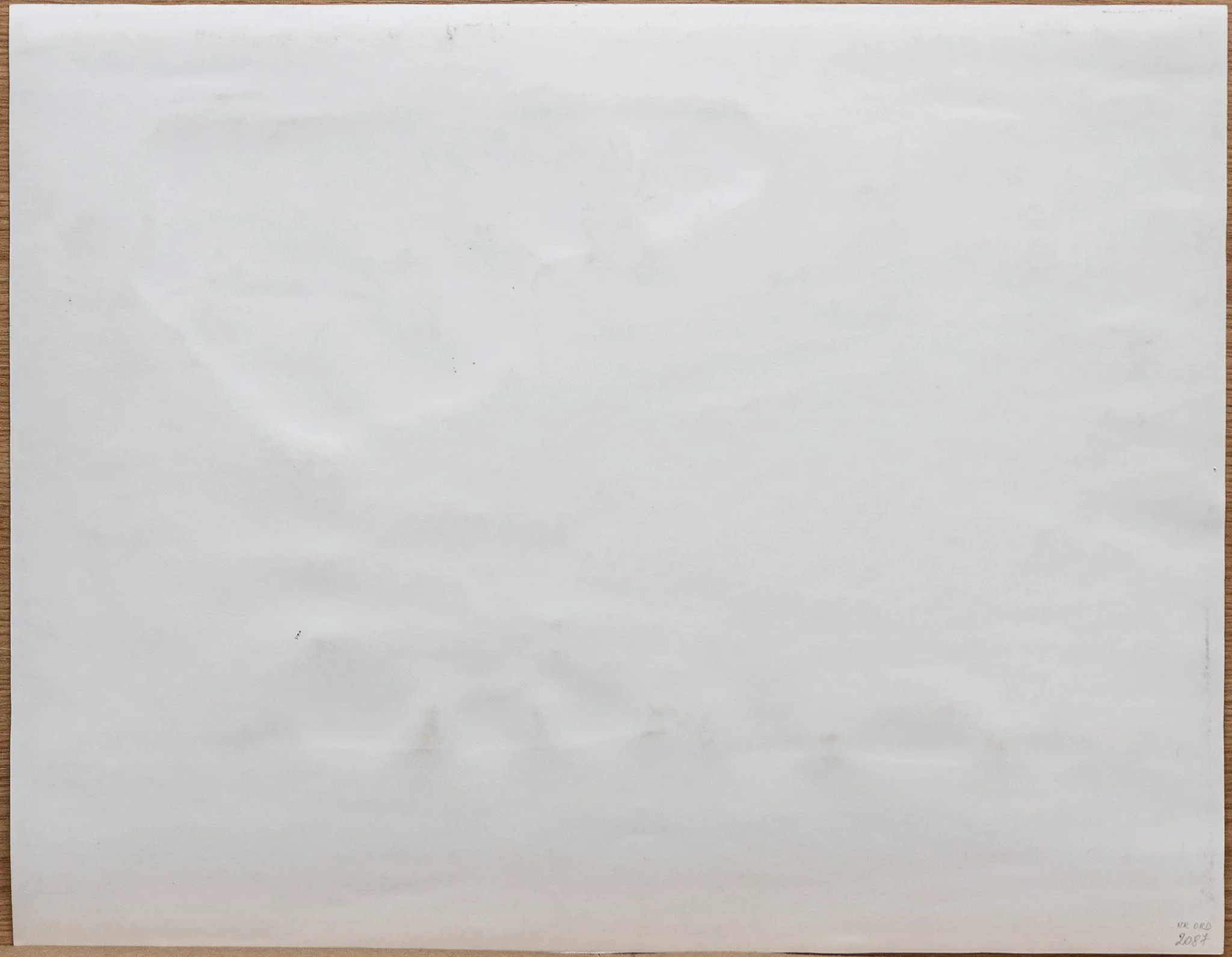 Ibricul roșu, by Teodor Hrib, unspecified, 1950