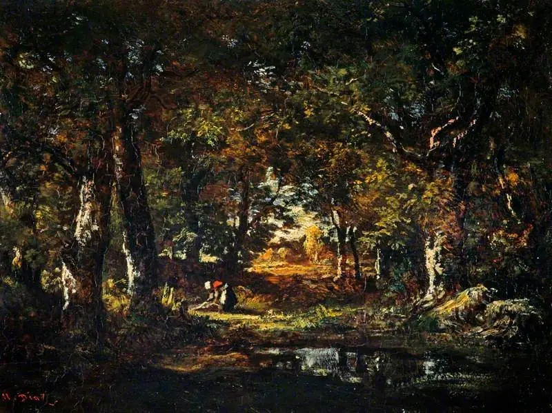 A Pool in the Forest
