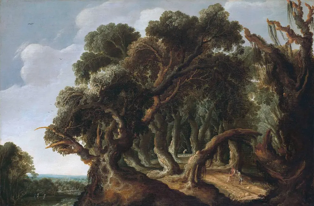 Wooded Landscape