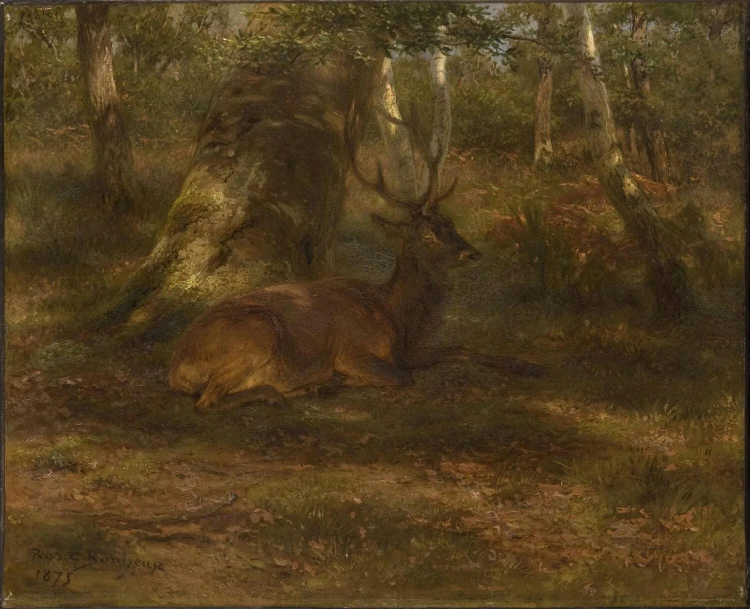 Forest with a Buck