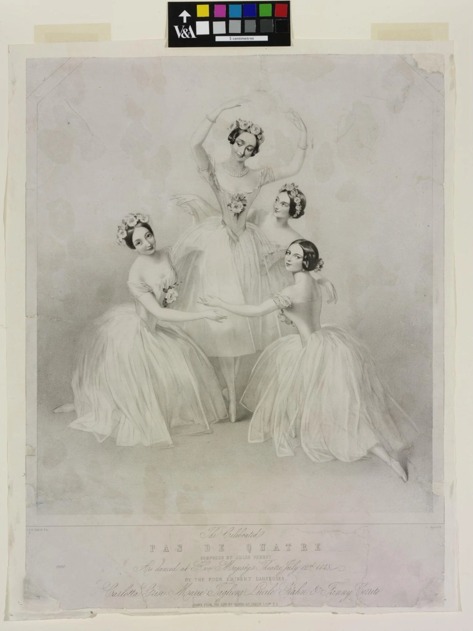 The Celebrated