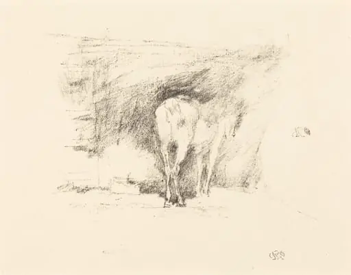 Study of a Horse