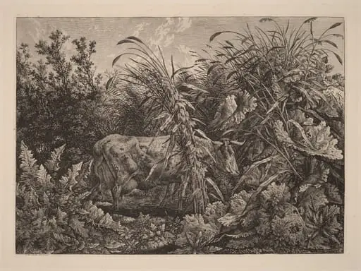 The Cow in the Swamp