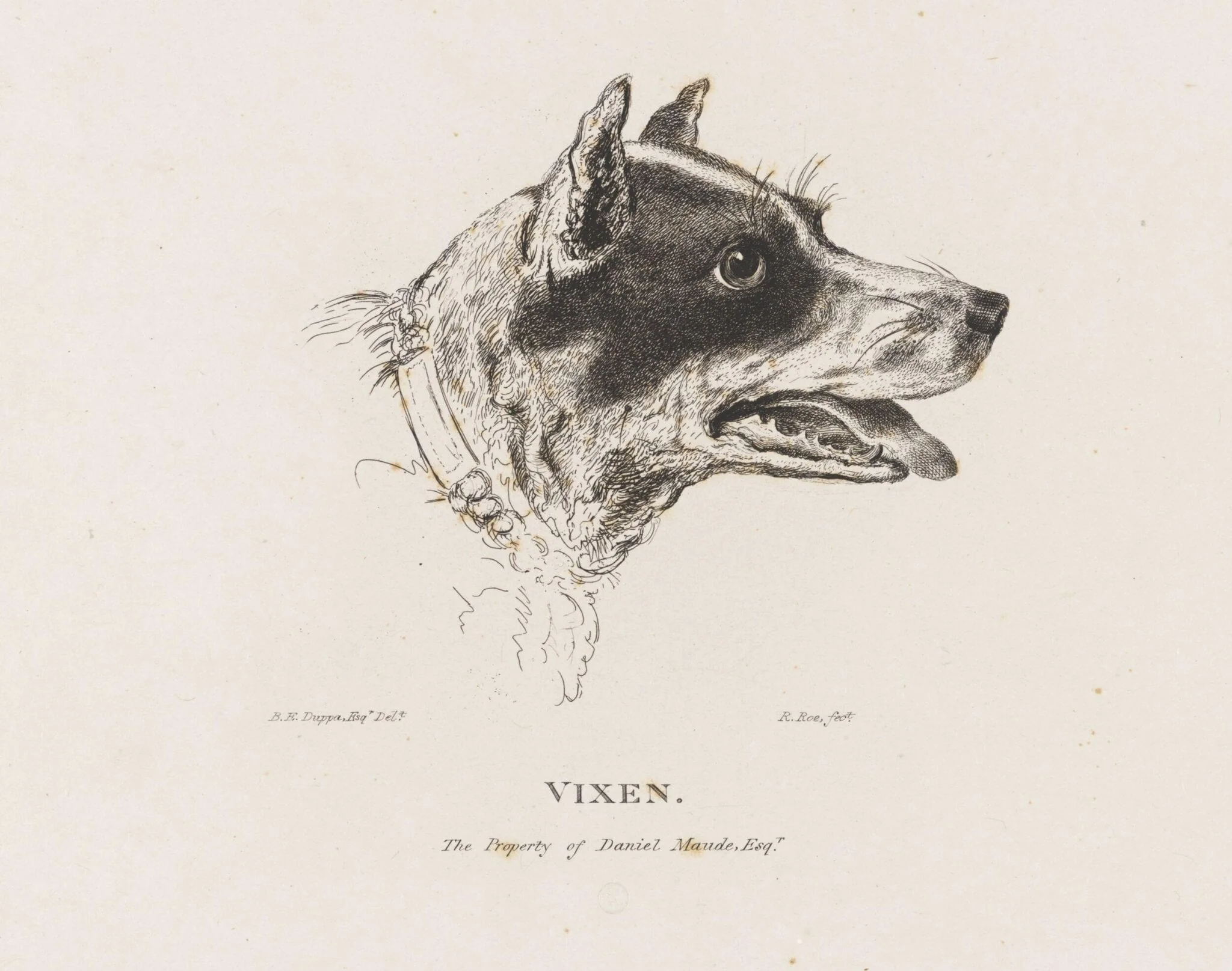 VIXEN, by Bryan Edward Duppa, 1850