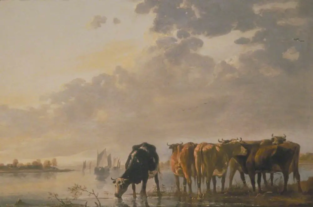 Cattle by a River