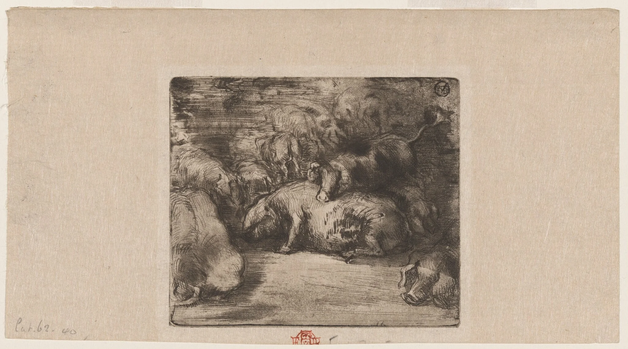 Cochons au soleil (Pigs in the Sun)