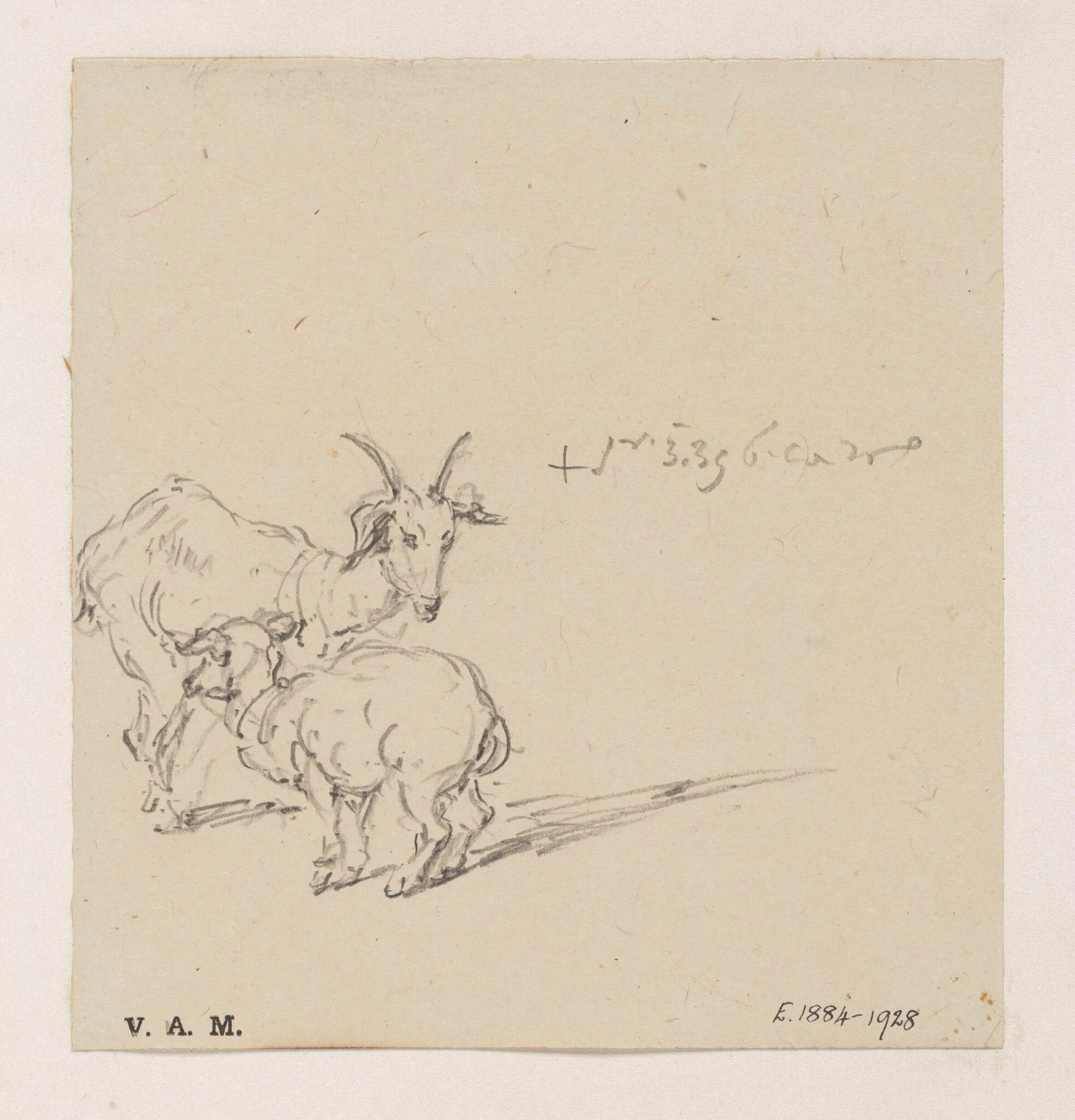 A goat and kid, by George Chinnery, 2