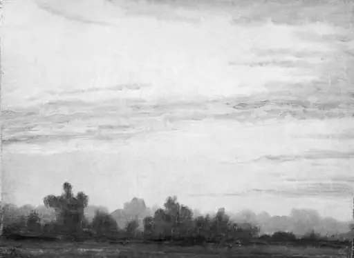 Study of Evening Sky and Trees