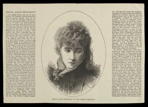 H Beard Print Collection