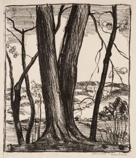The Hilltop