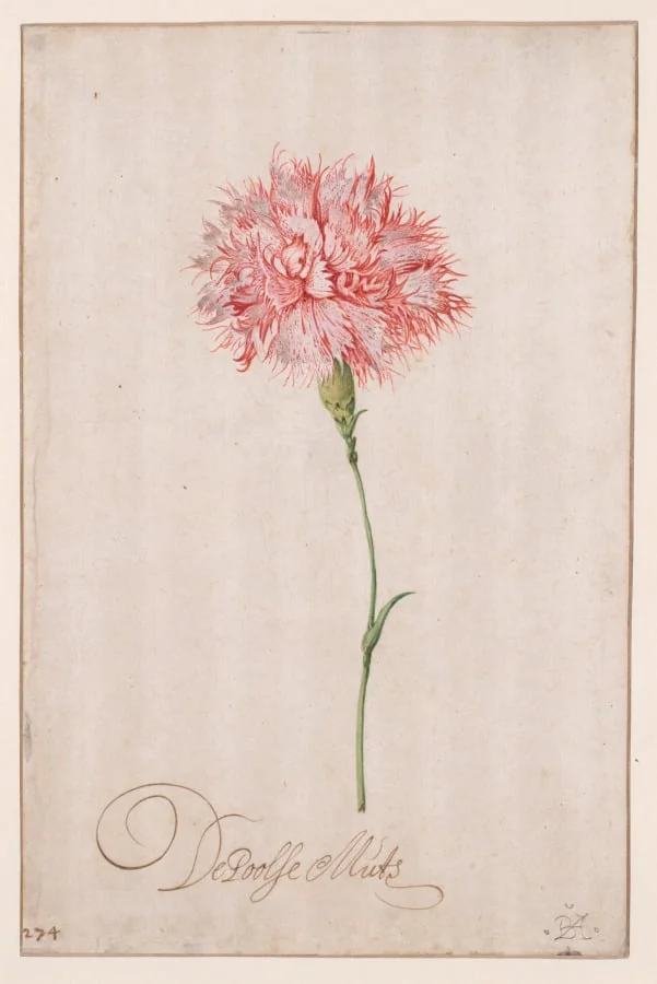 De Poolse Muts, by Balthasar van der Ast, 1625