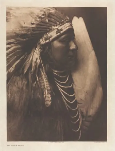 Portfolio VIII, Plate 263: Nez Percé Brave