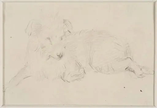 Sketch of a dog
