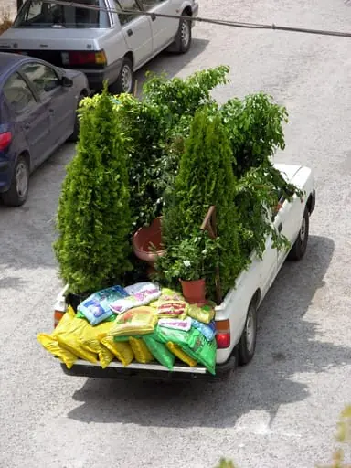 Άτιτλο