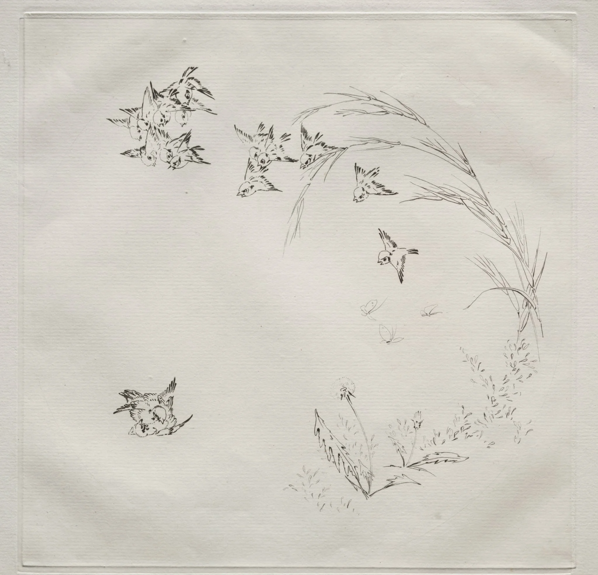 Parisian Service (Haviland service): The Fight (no. 2), by Félix Bracquemond, 1875