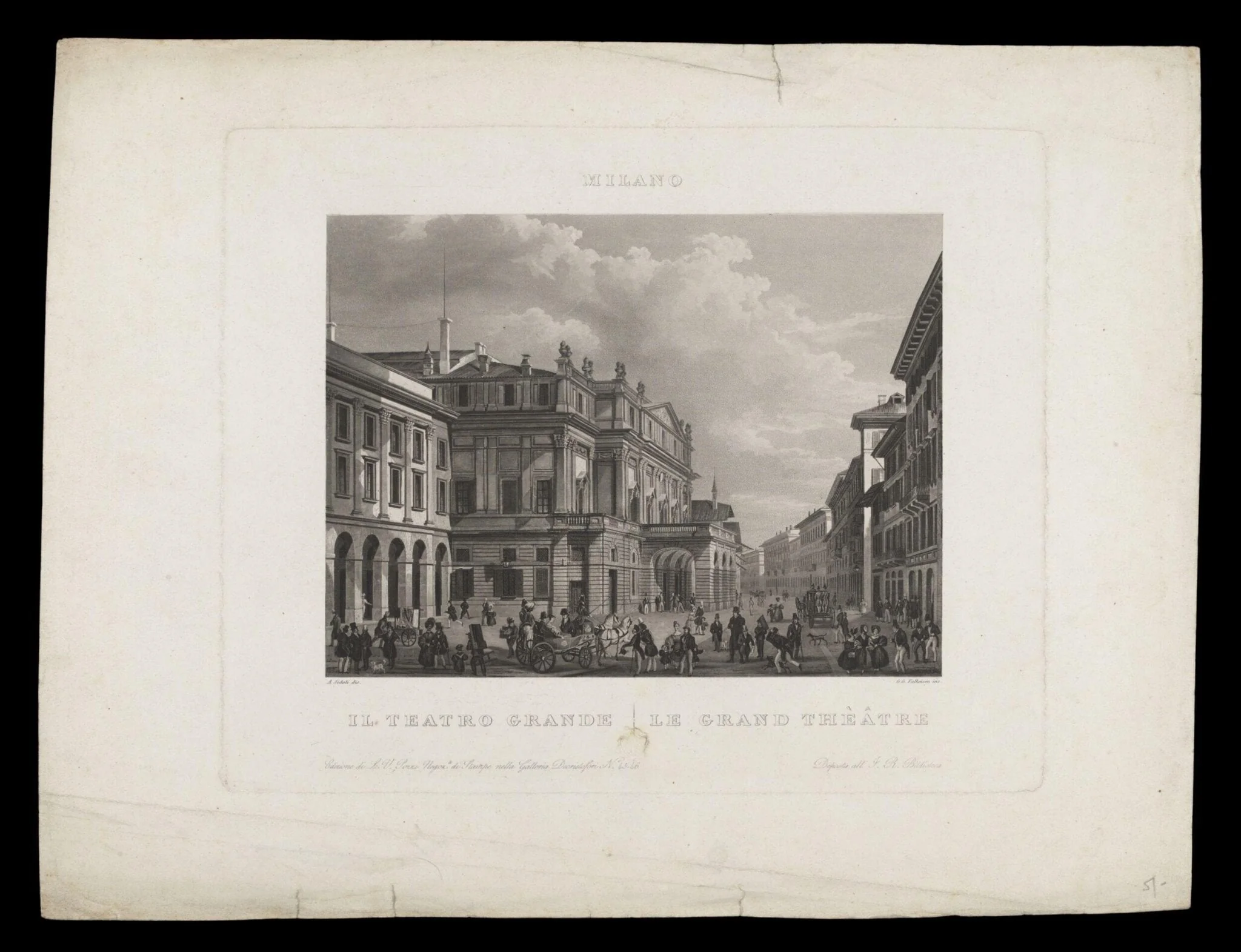 H Beard Print Collection