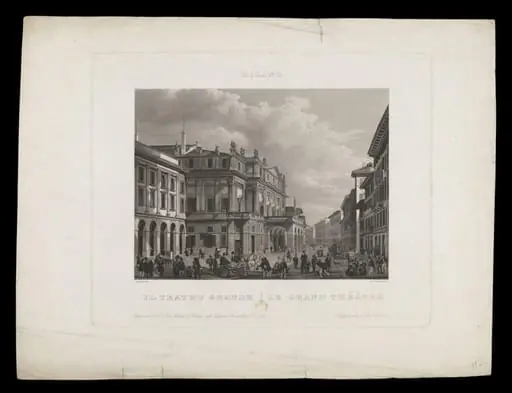H Beard Print Collection