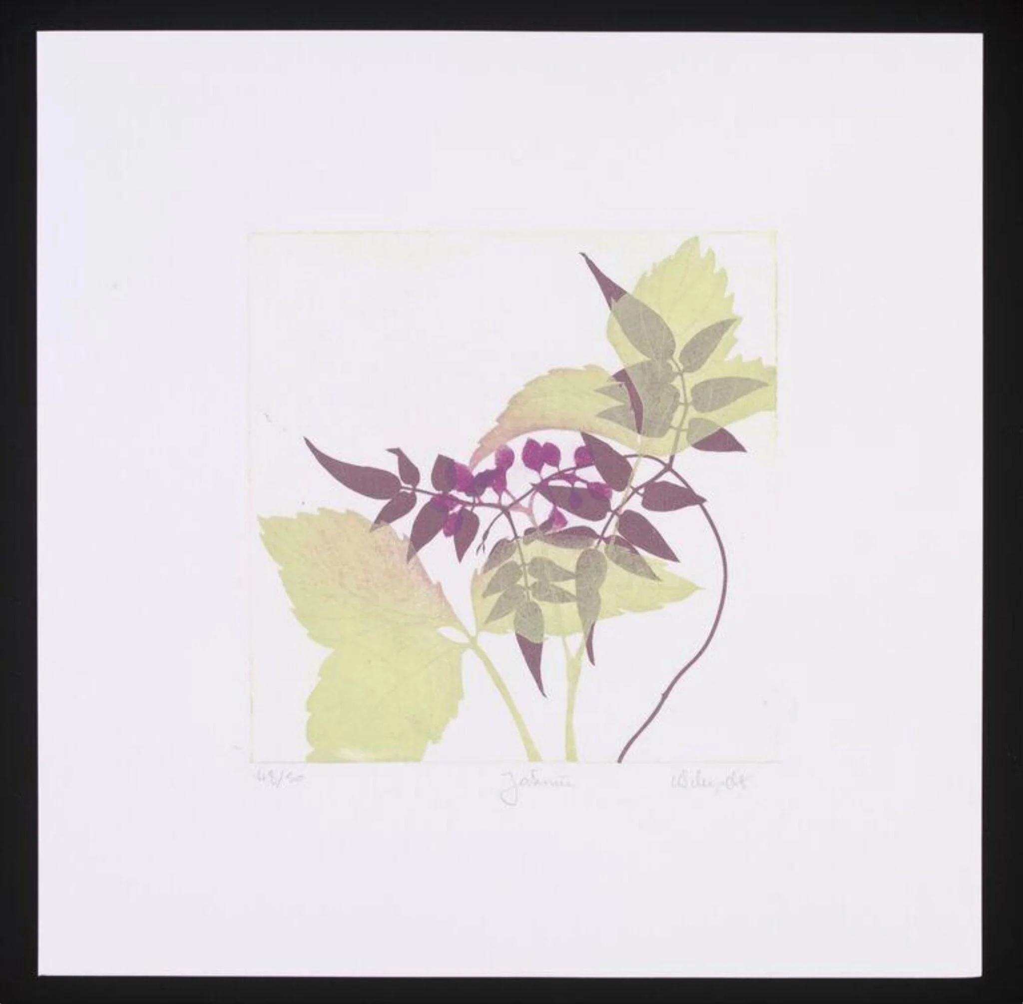 Jasmine Leaf, by East London Printmakers, 2007