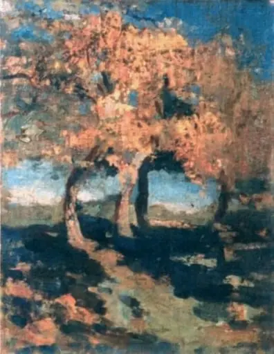 Peisaj de pădure