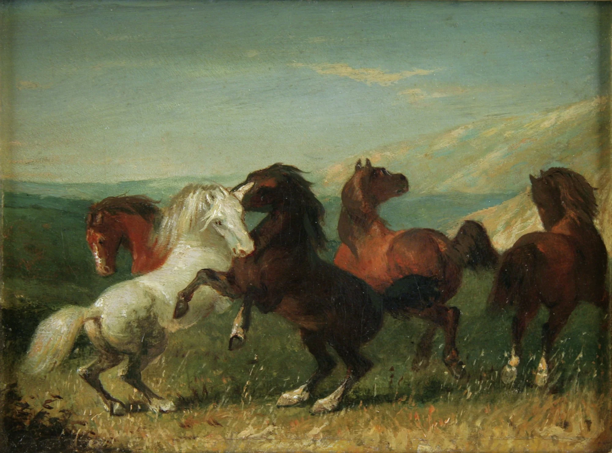 Wild Horses, by Unknown, unspecified