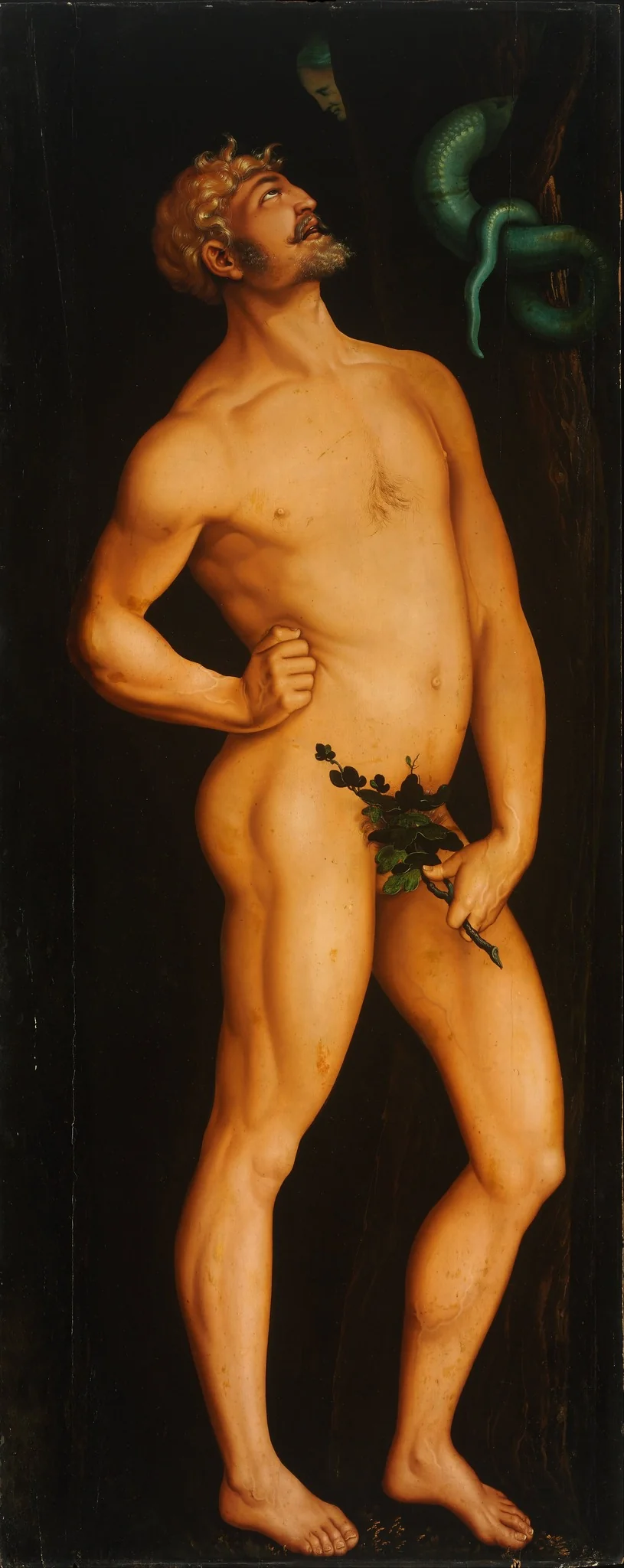 Adam, by Hans Baldung Grien, oil, 1525