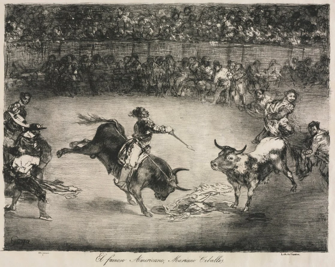 The Bulls of Bordeaux:  The Famous American, Mariano Ceballos, by Francisco Goya, 1825