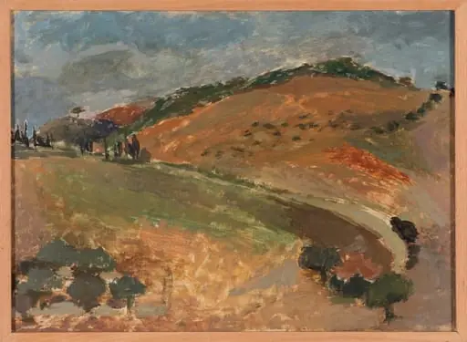 Outdoor study