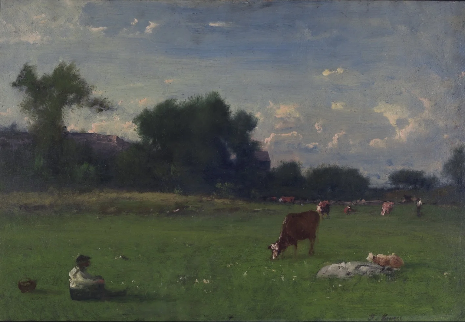 Landscape