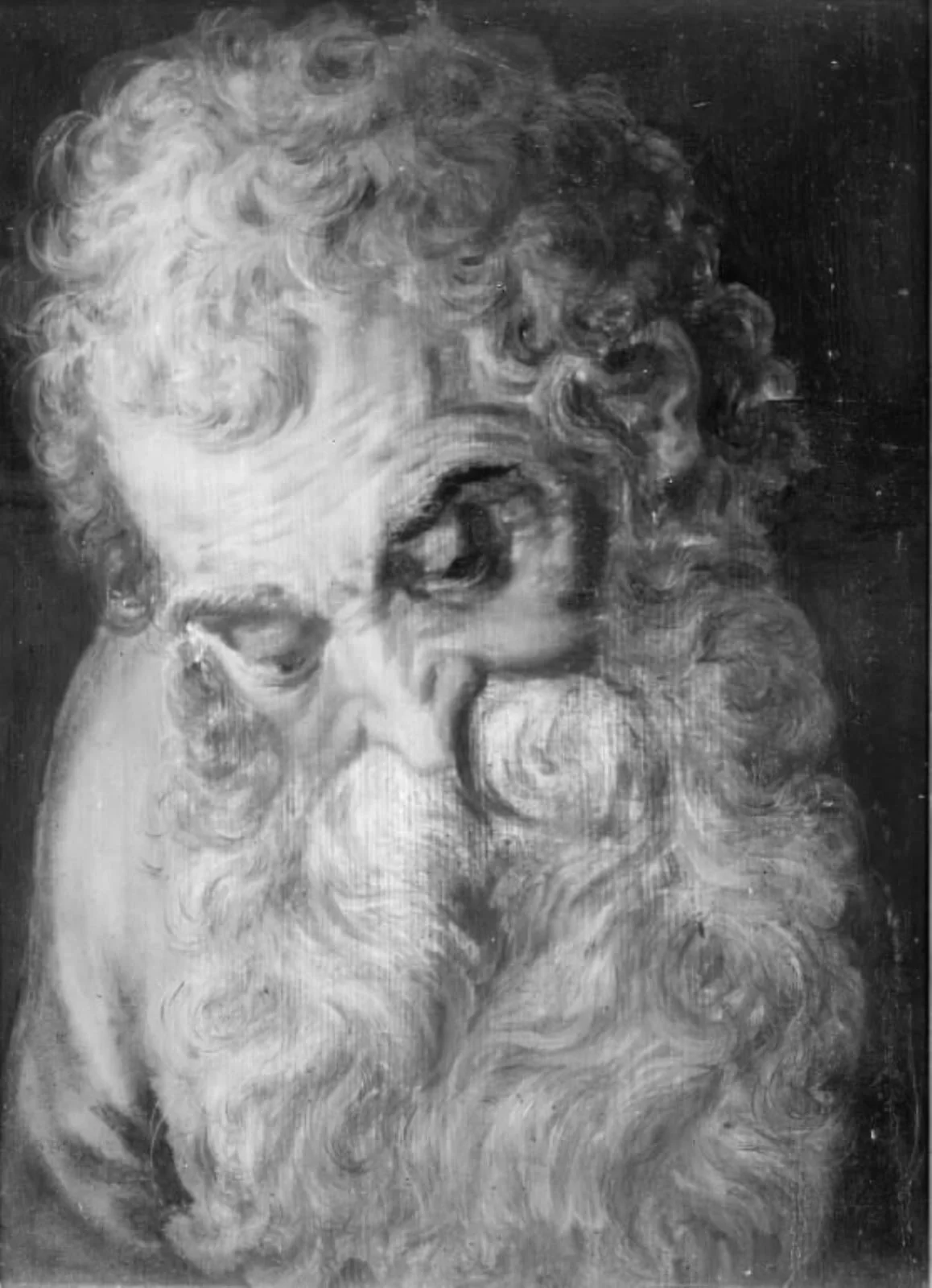 An Old Man's Head, by Unknown, 1550