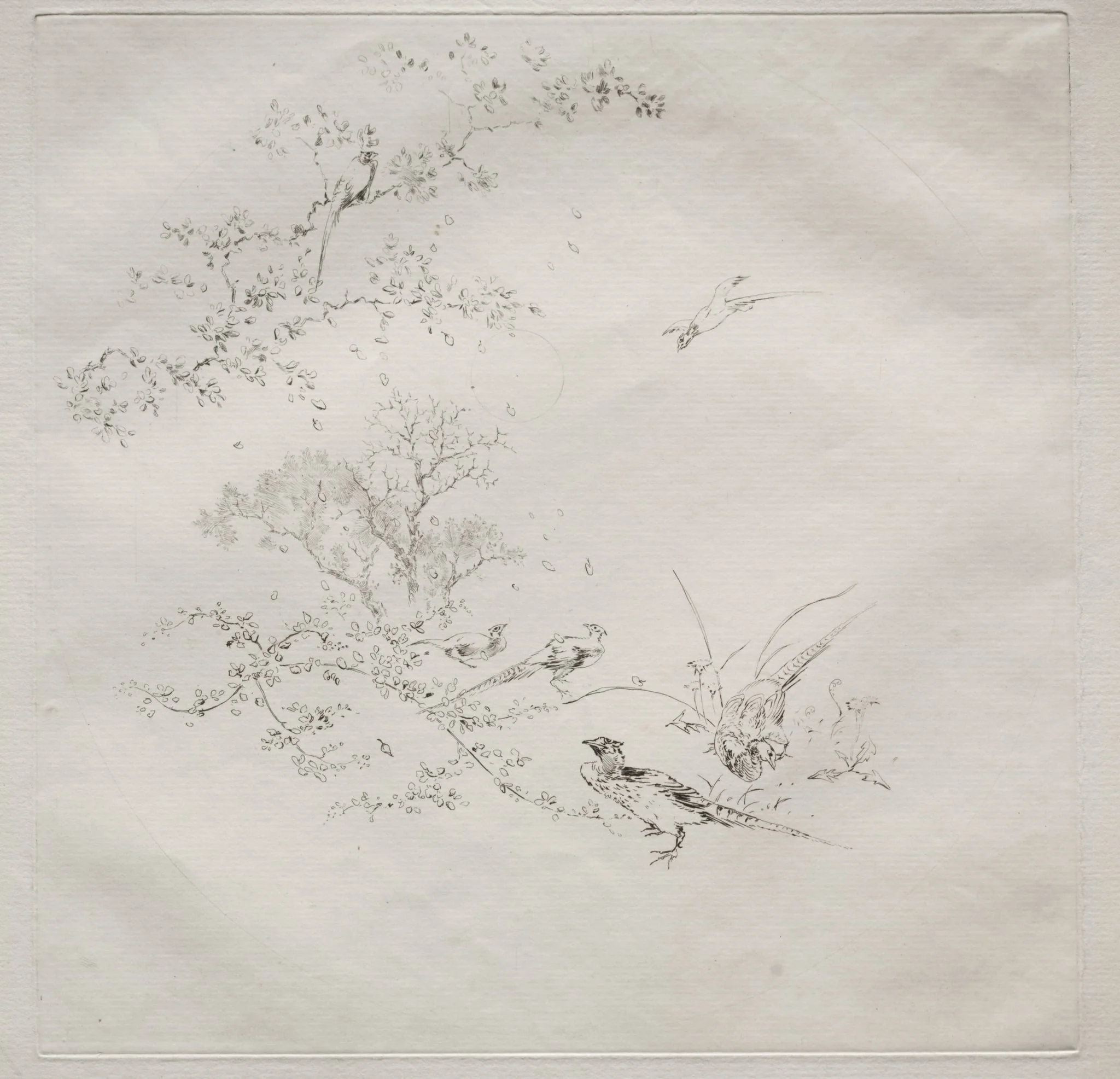 Parisian Service (Haviland service): Fog (no. 1), by Félix Bracquemond, 1875