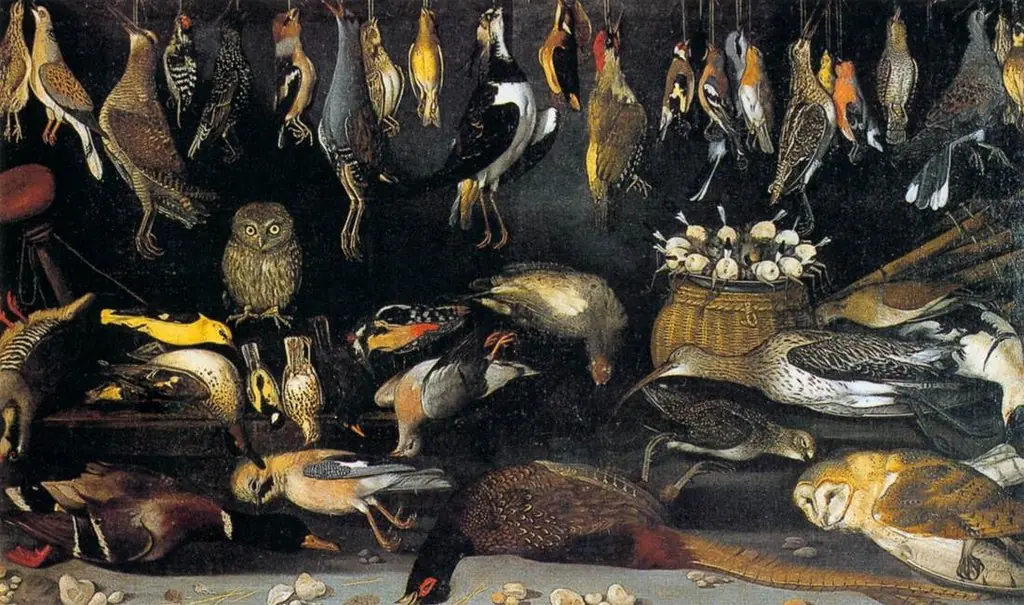 Still life with birds