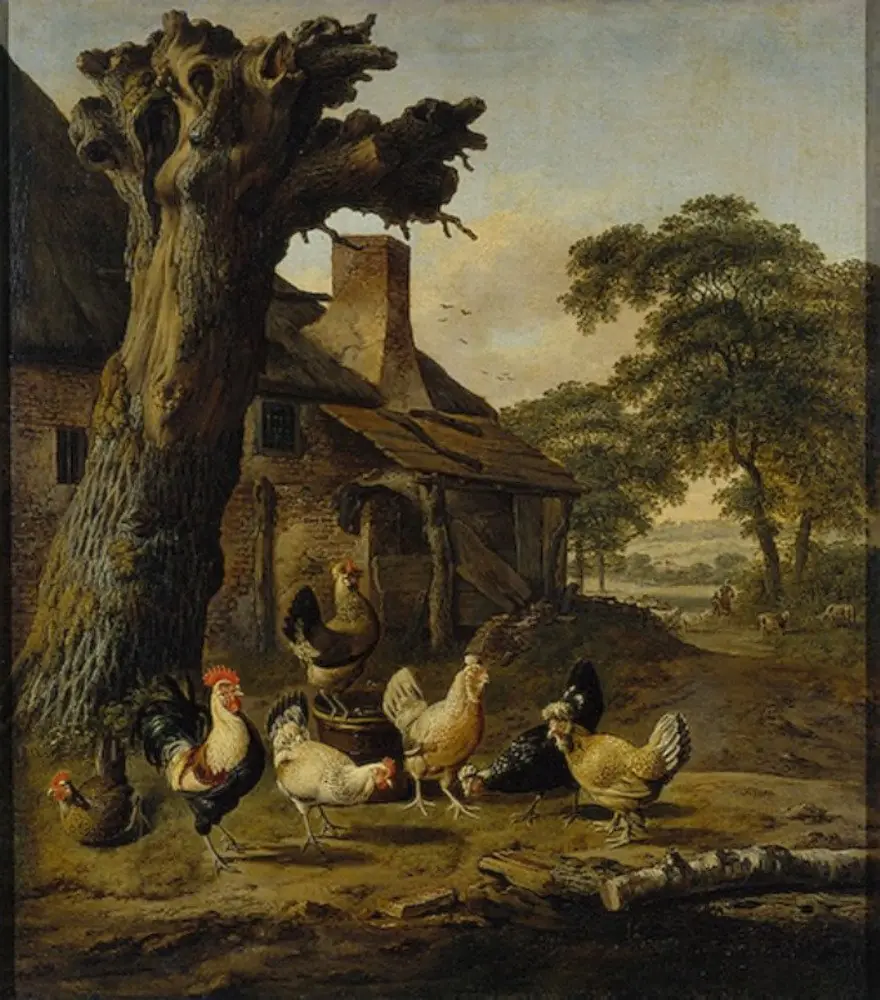 Poultry Yard