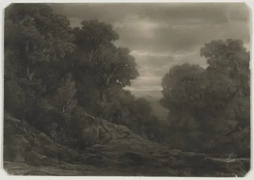 Landscape with Trees