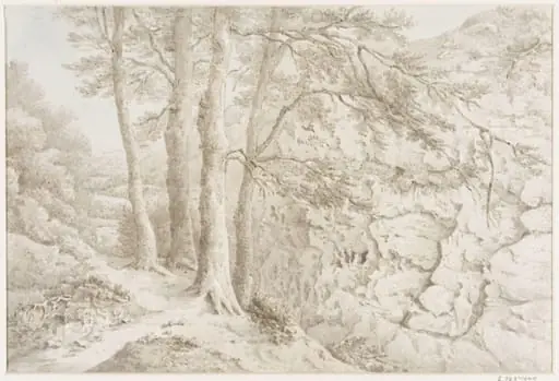 Drawing of a narrow ravine