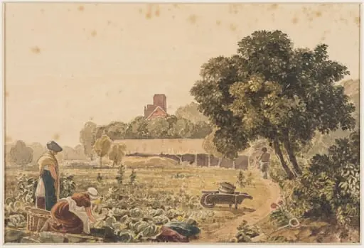 Market Garden at Chelsea