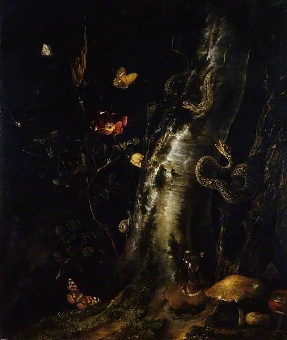 Silver birch trunk and branch with rose, lizards, a snake, toadstools, butterflies and a snail, by Otto Marseus van Schrieck, oil, 1658