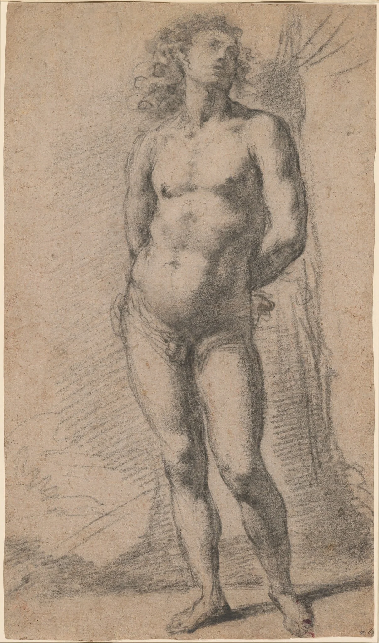 Study of a Standing Male Nude: Saint Sebastian, by Jacopo Confortini, chalk, 1601