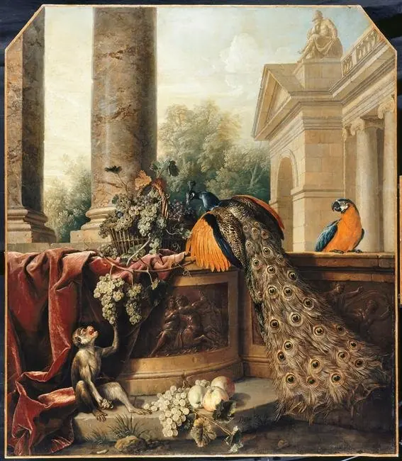 Still Life with a Peacock