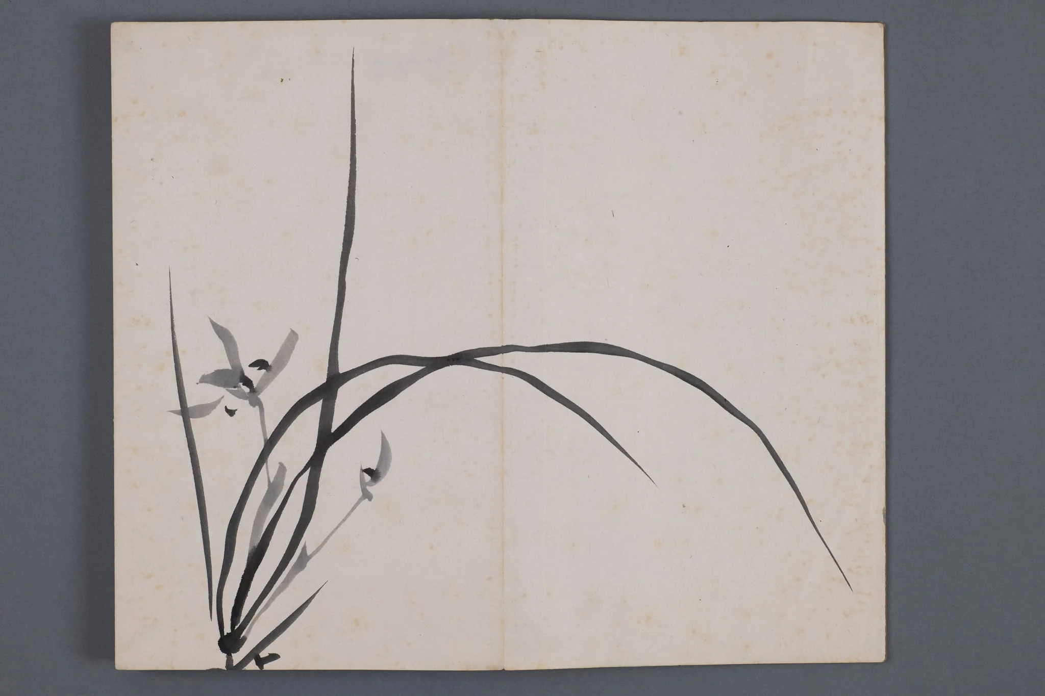 Akwarele, by Unknown, unspecified, 1350