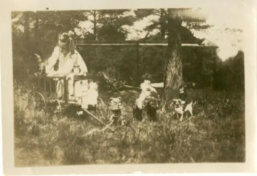 Photograph
