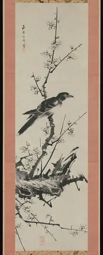 西園方済筆　梅に叭叭鳥図|Mynah Bird on Plum Branch