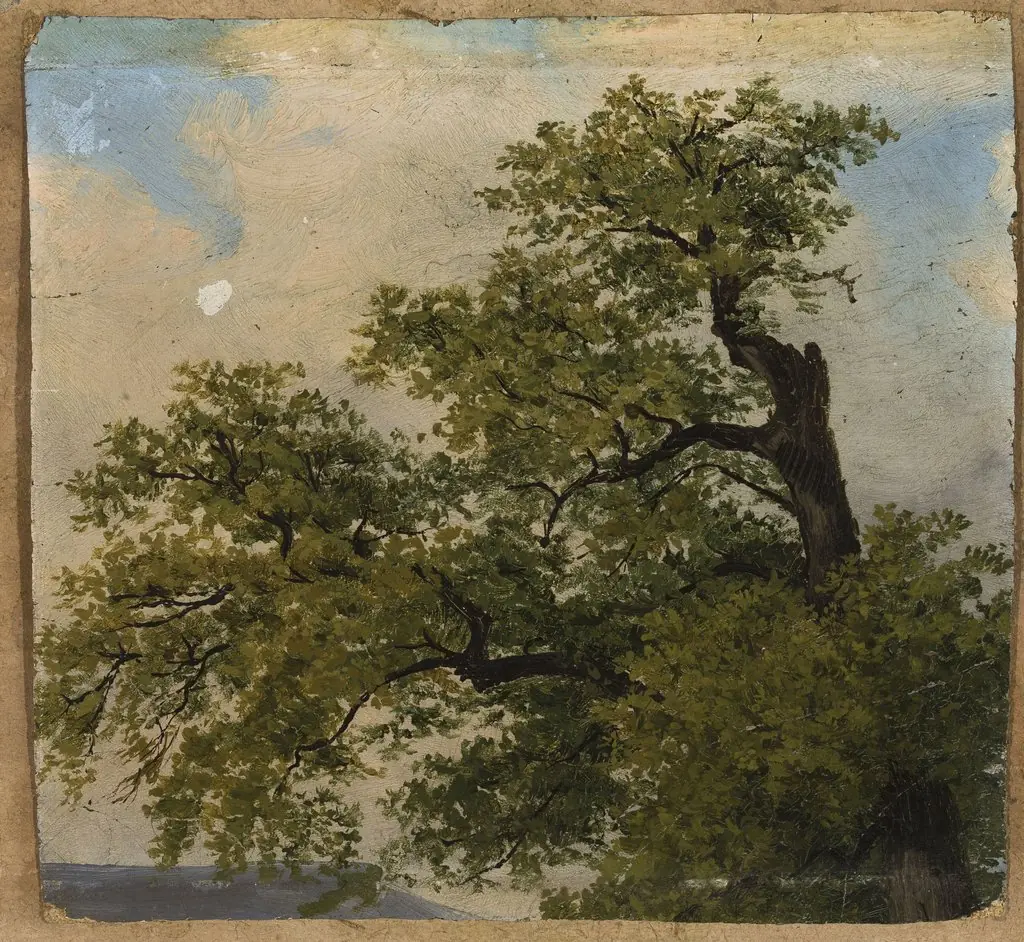Trees